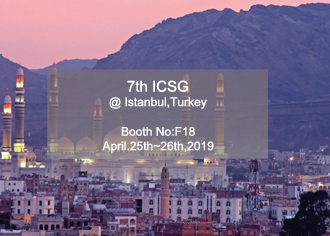 ICSG 2019