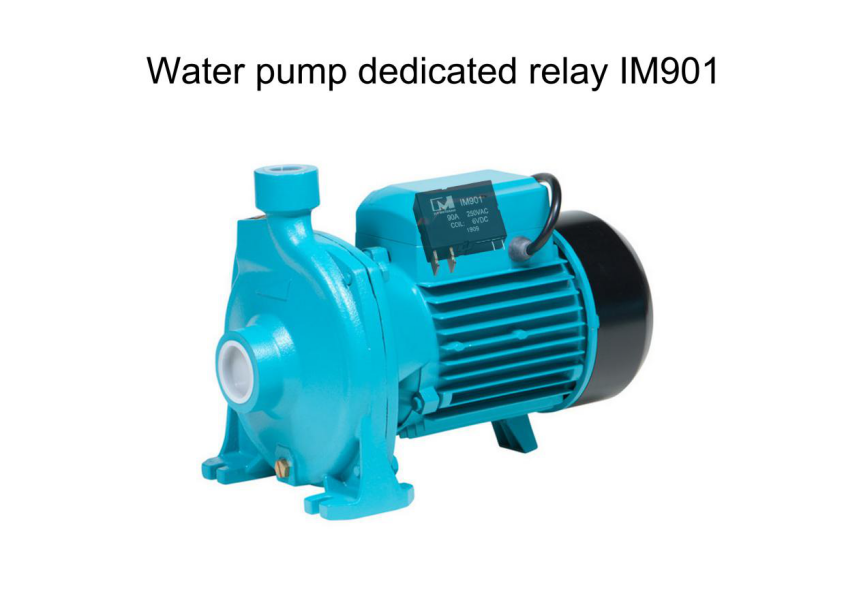 Water Pump Dedicated Relay IM901